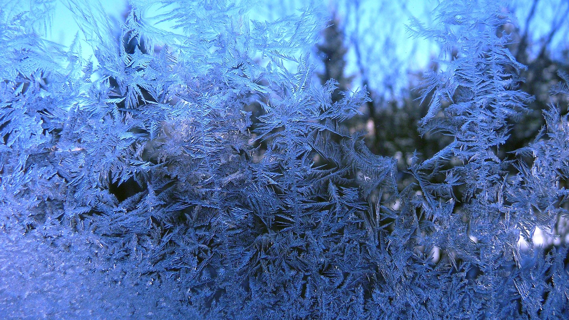 Frost Glass Wallpaper