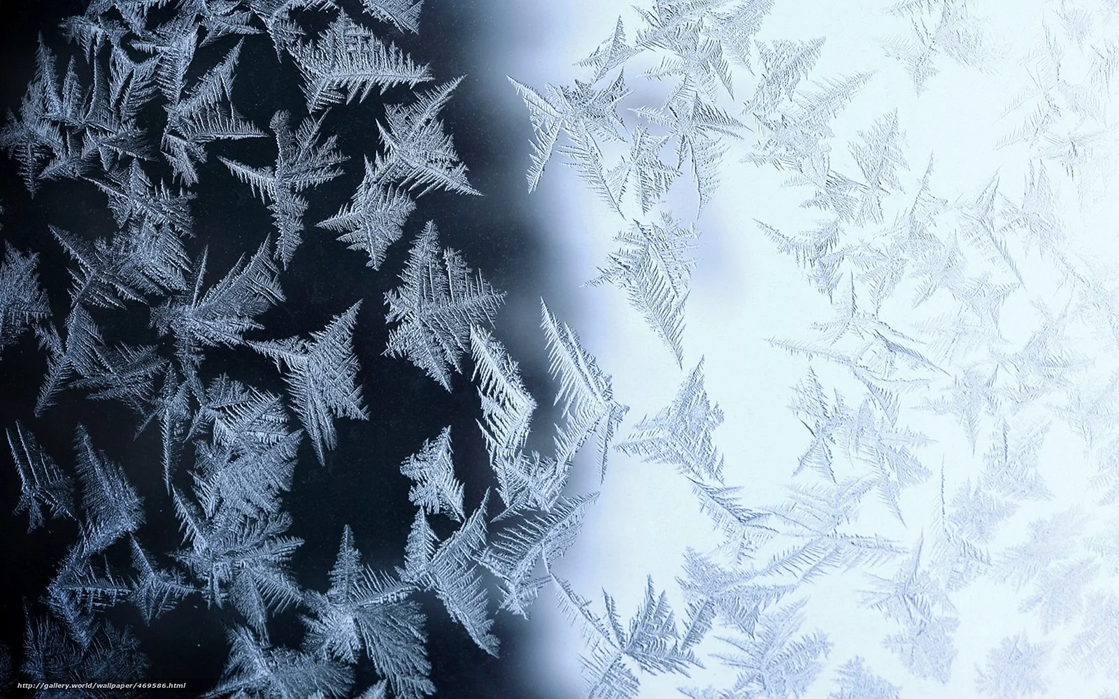 Frost Glass Wallpaper