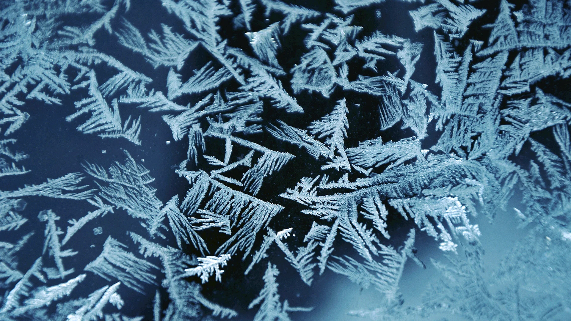 Frost Glass Wallpaper