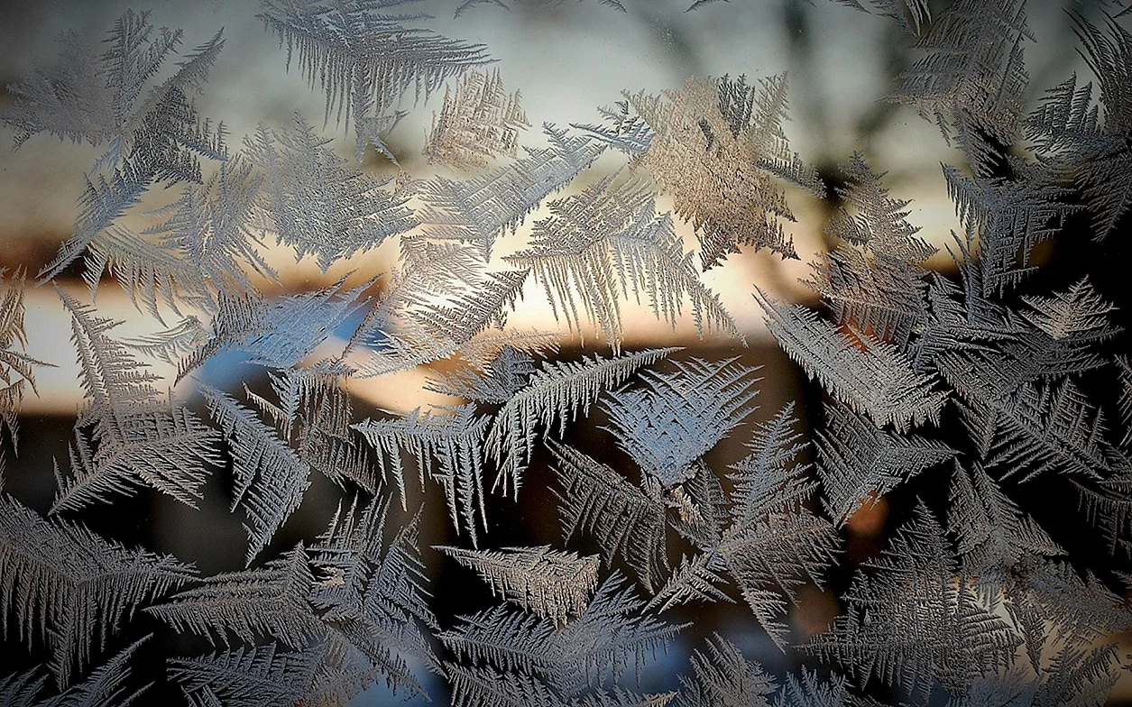 Frost Glass Wallpaper