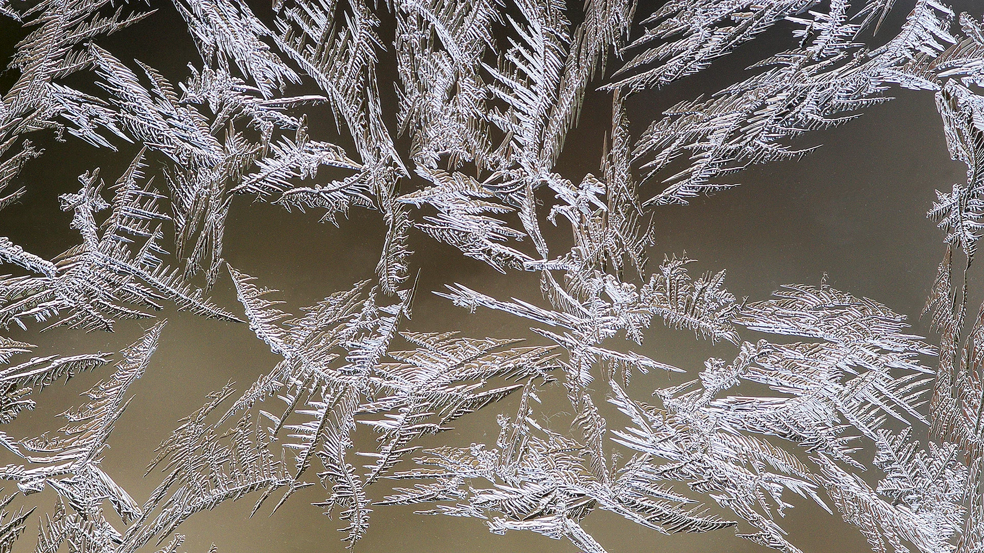 Frost Glass Wallpaper