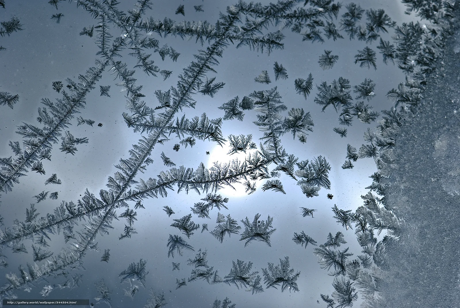 Frost Glass Wallpaper