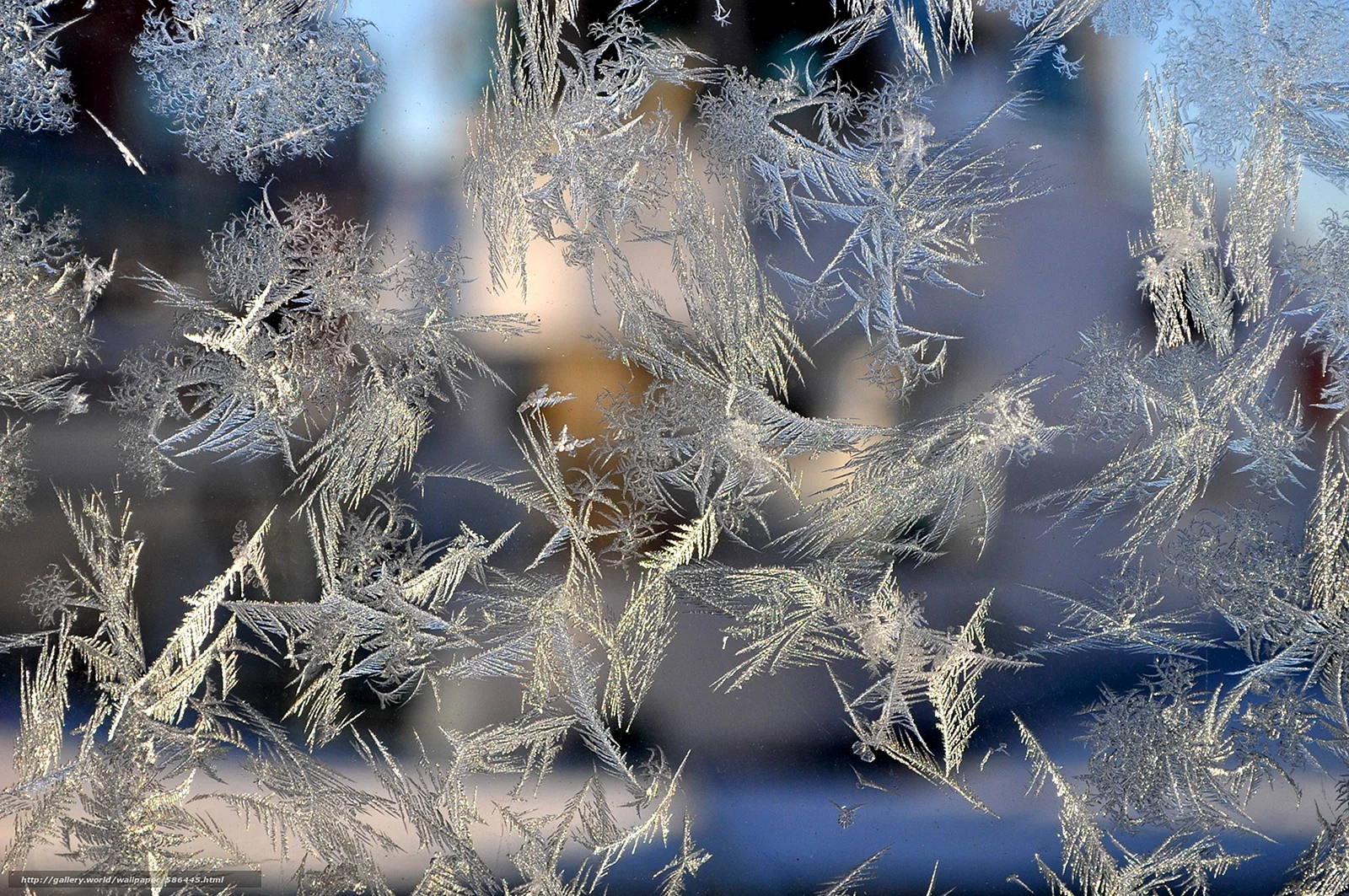 Frost On Glass Wallpaper