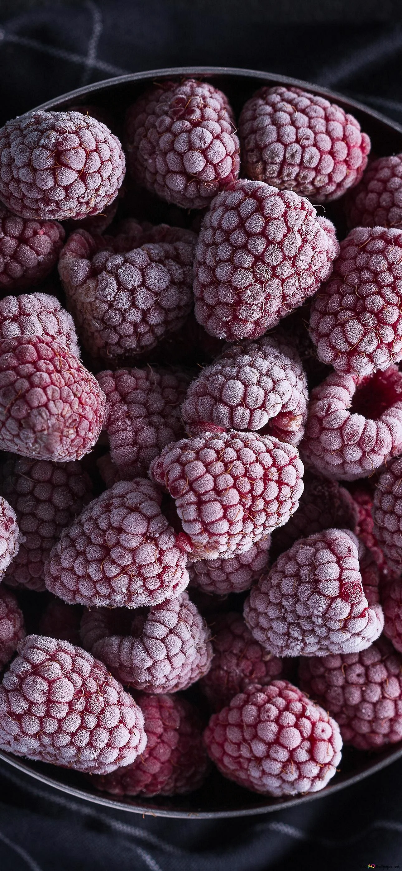 Frozen Fruits Wallpaper for iPhone 14 Pro Max