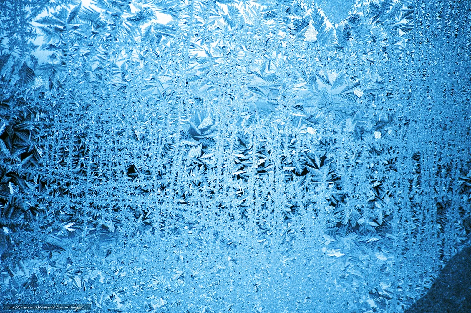 Frozen Texture Wallpaper