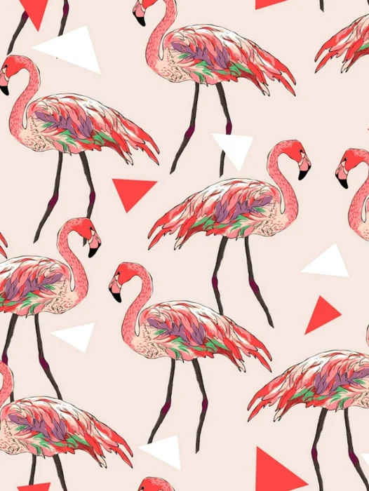 Funky Flamingo Wallpaper