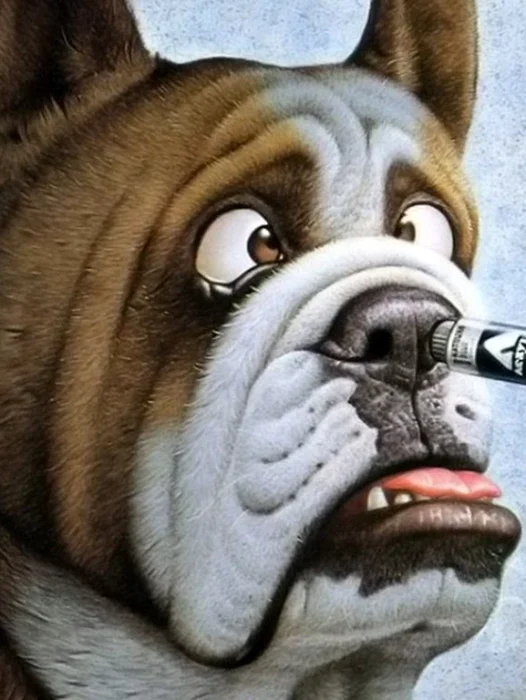 Funny Dog Art Wallpaper