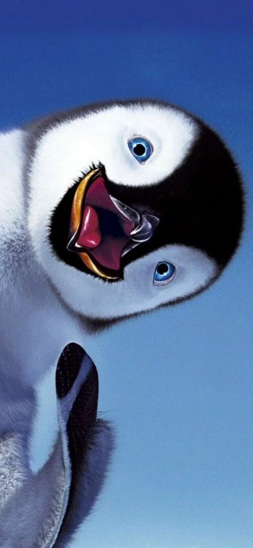 Funny Penguin Wallpaper for iPhone 11