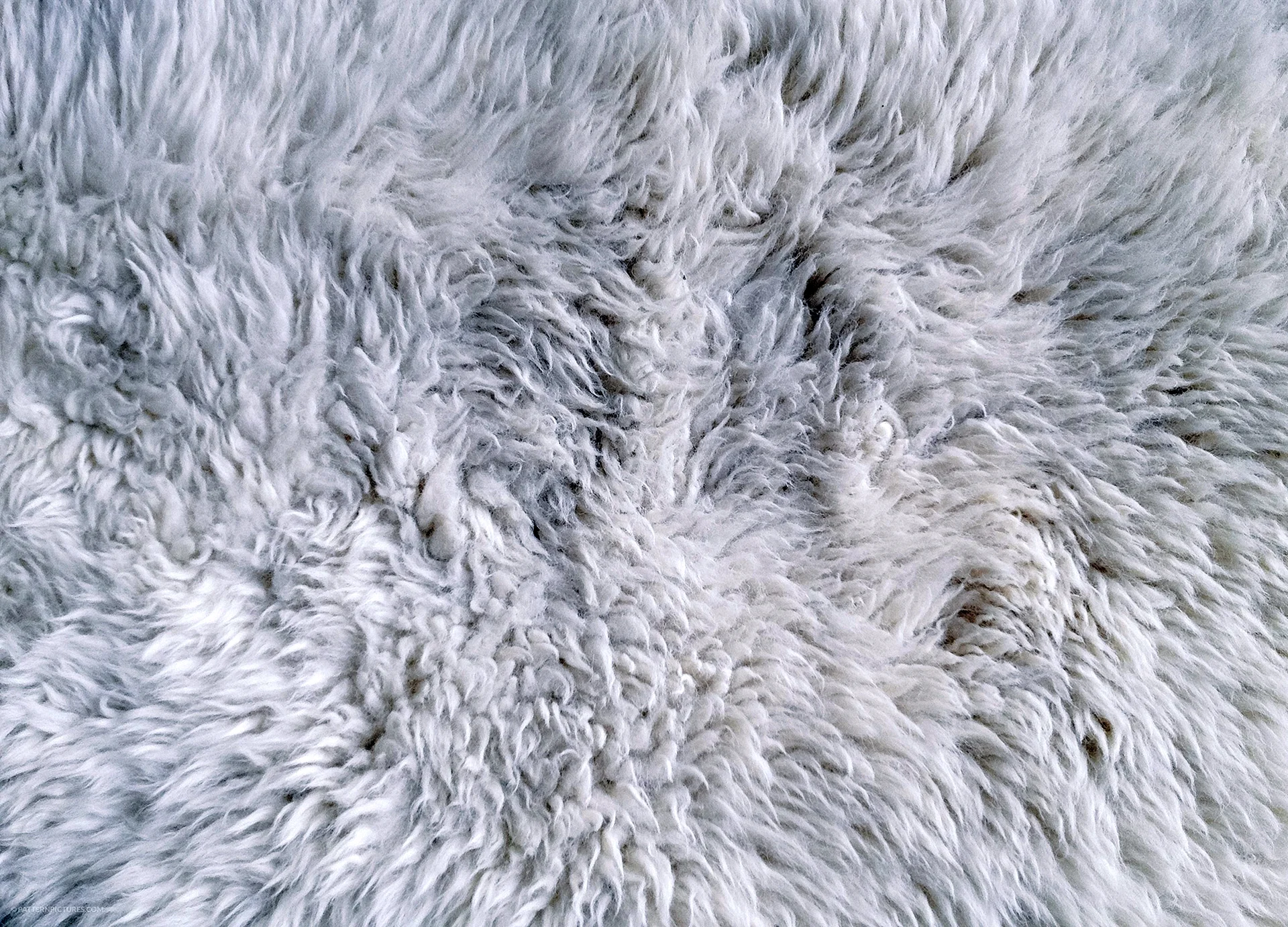 Fur Texture Wallpaper