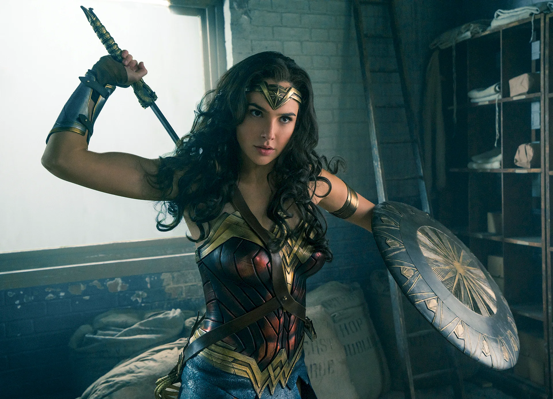 Gal Gadot 2017 Wallpaper
