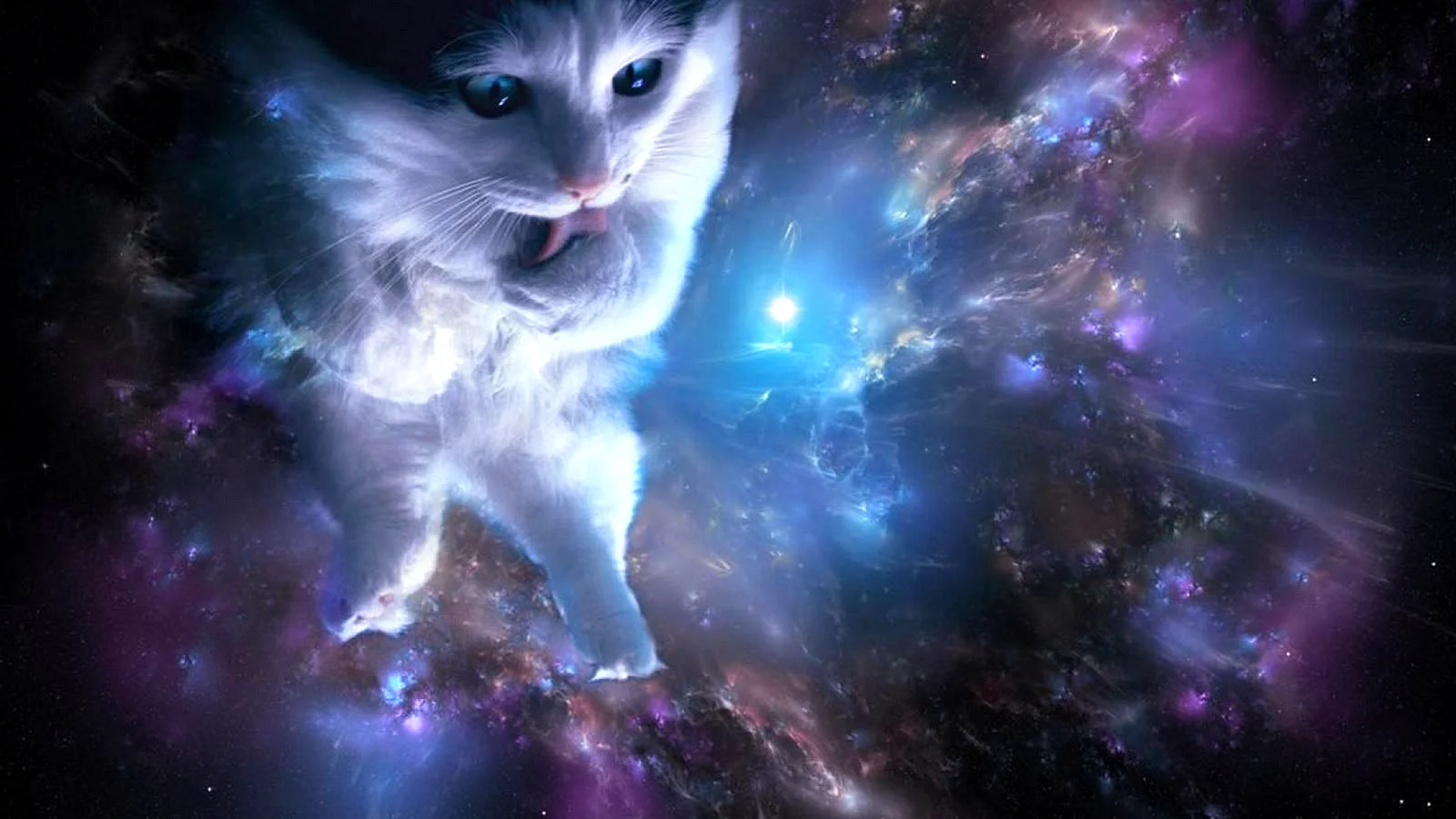 Galaxy Cat Wallpaper