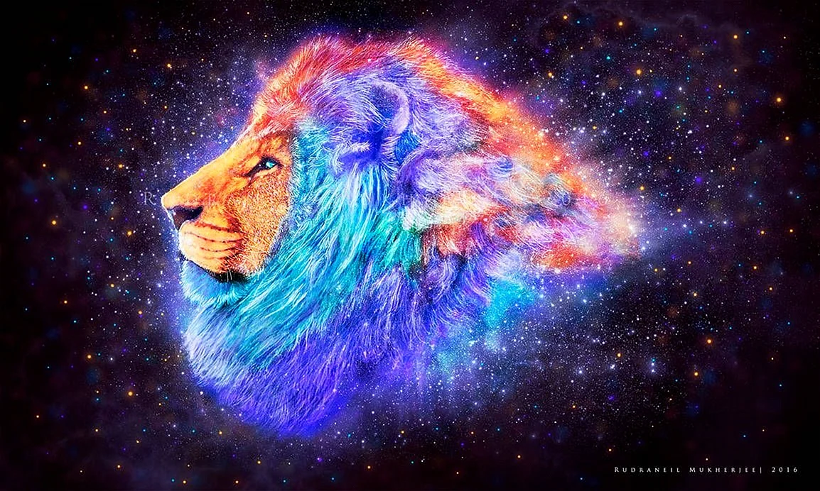 Galaxy Lion Wallpaper