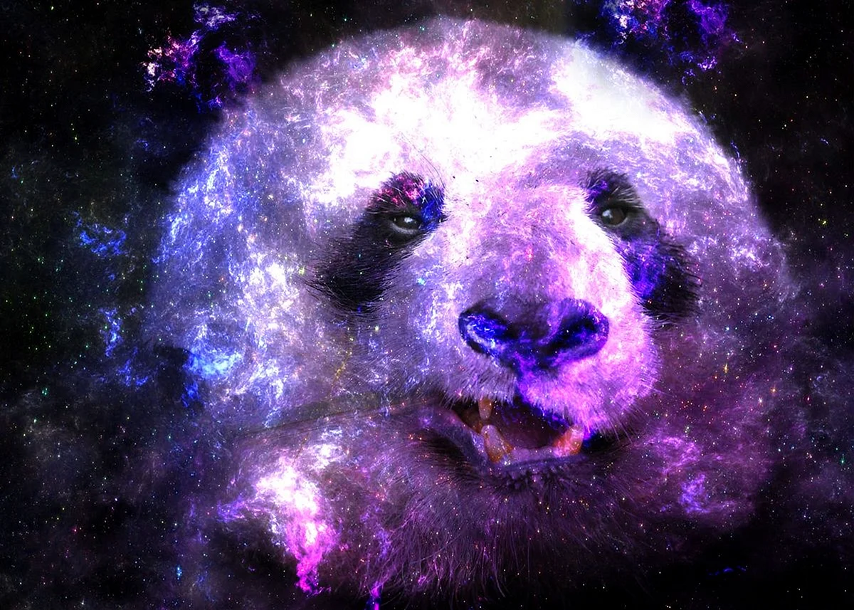 Galaxy Panda Wallpaper