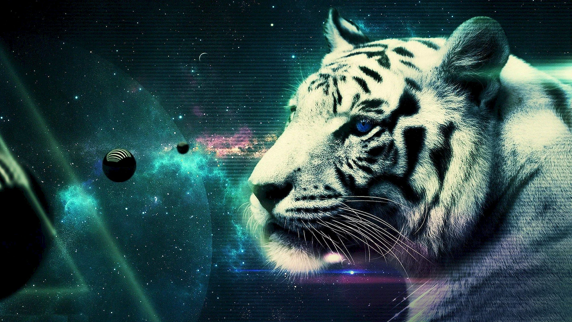 Galaxy Tiger Wallpaper