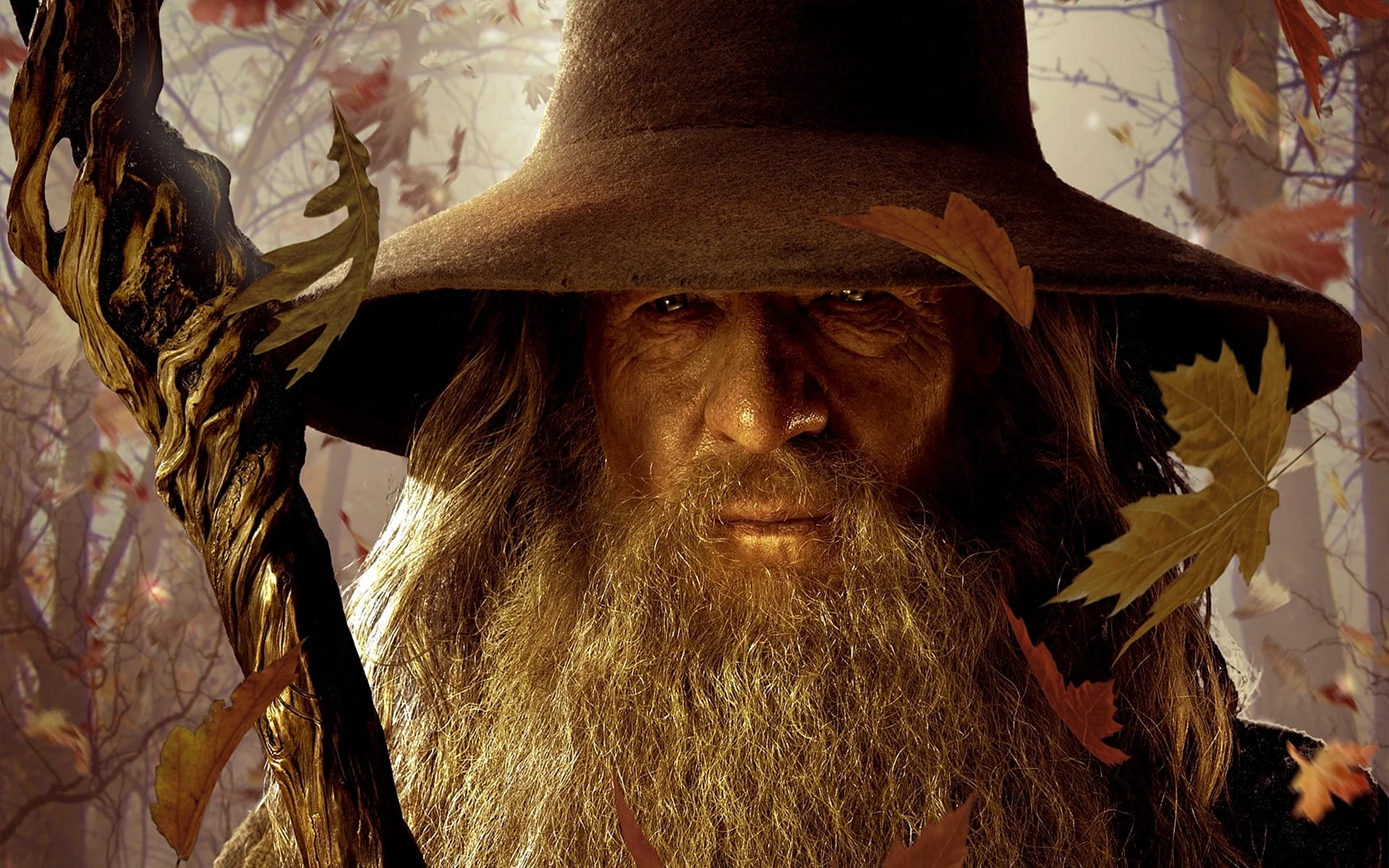 Gandalf The Gray Wallpaper