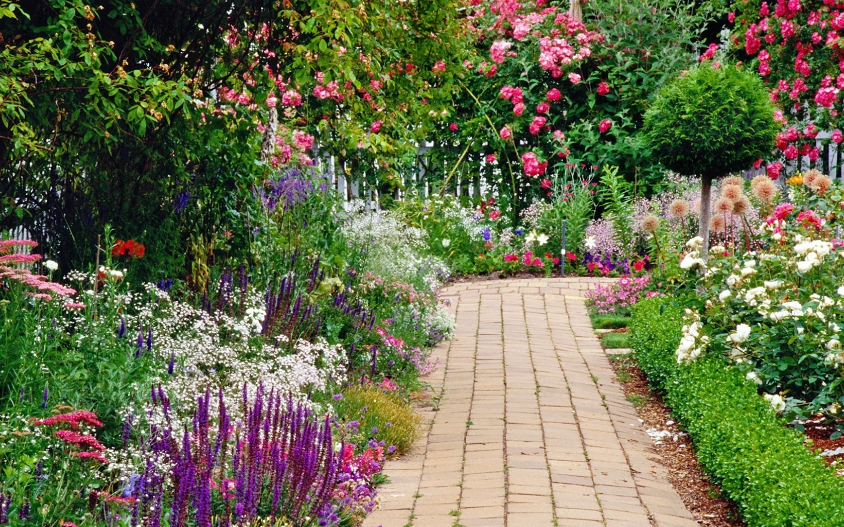 Garden With Flowers Wallpaper