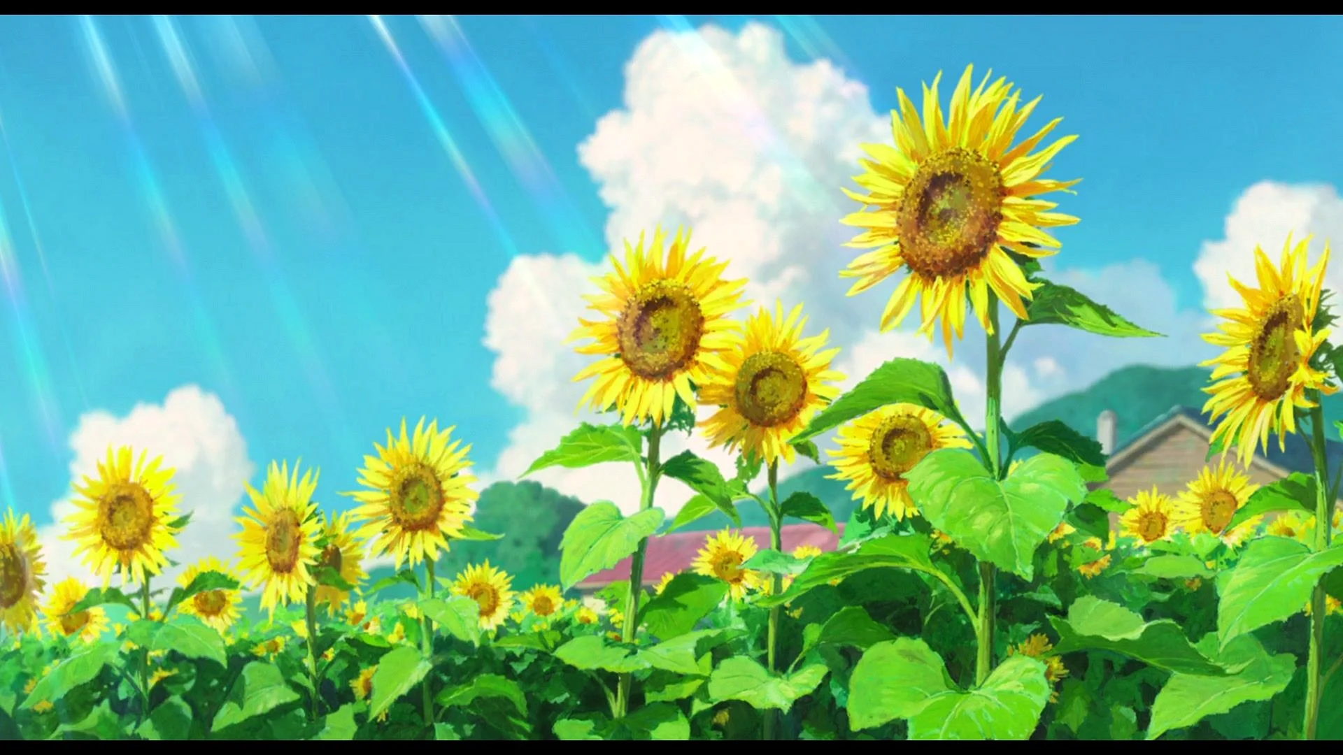 Ghibli Sunflower Wallpaper