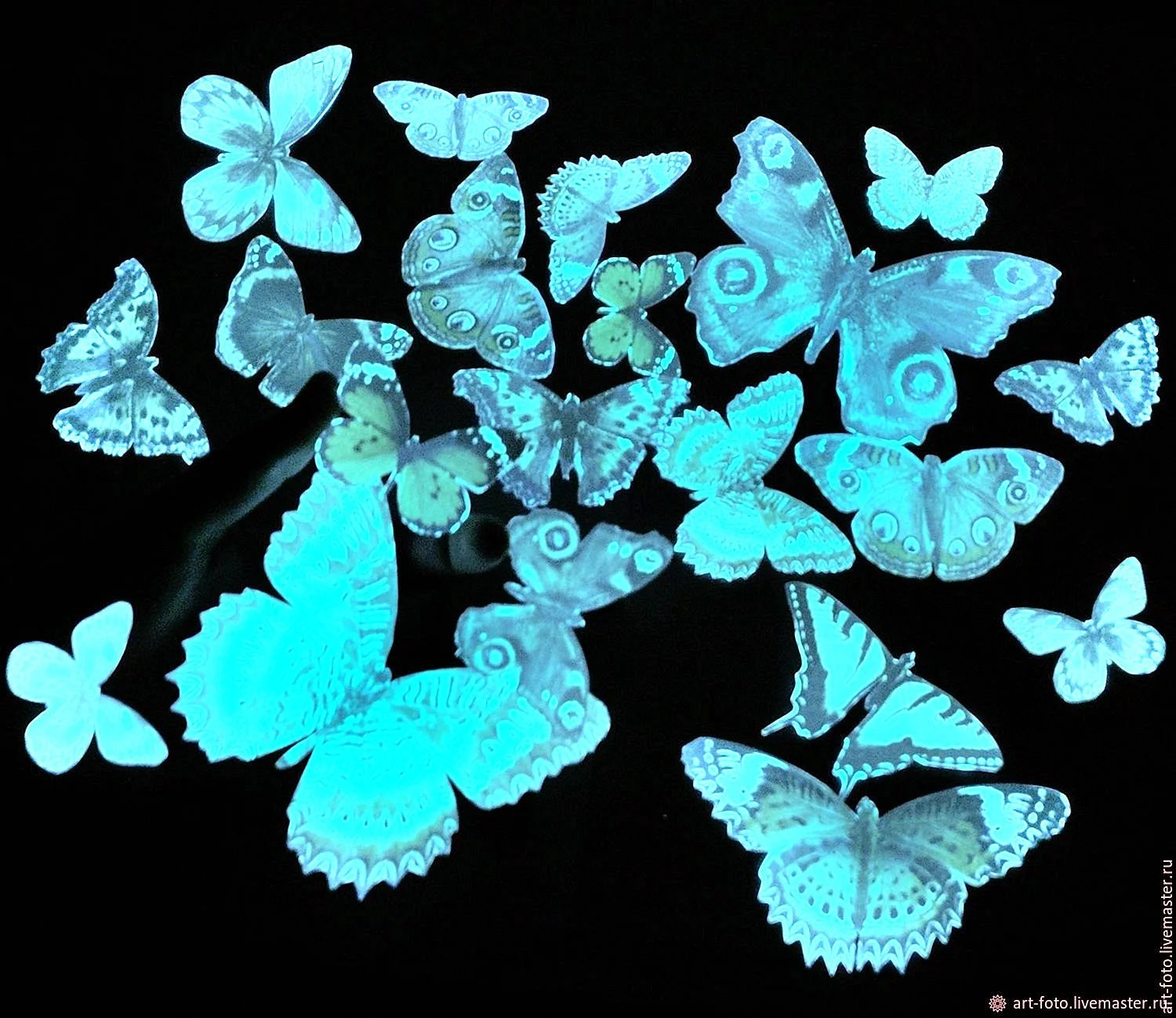 Glowing Butterfly Wallpaper