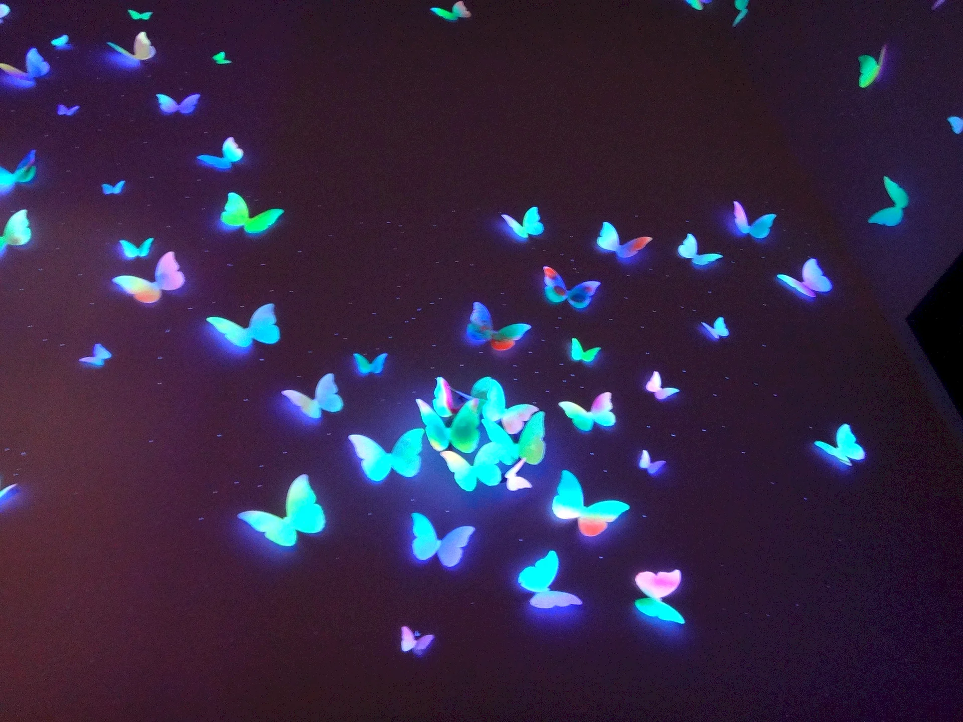 Glowing Butterfly Wallpaper