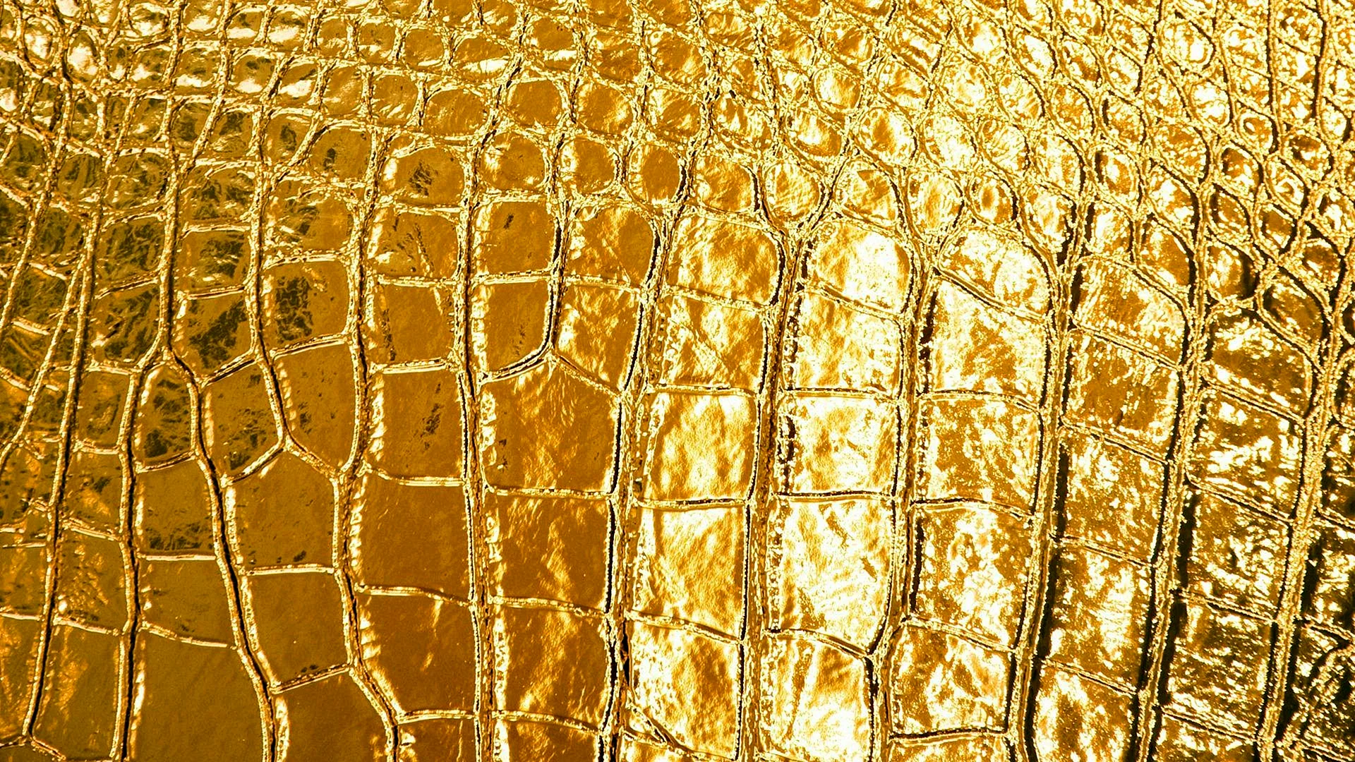 Gold Skin Texture Wallpaper