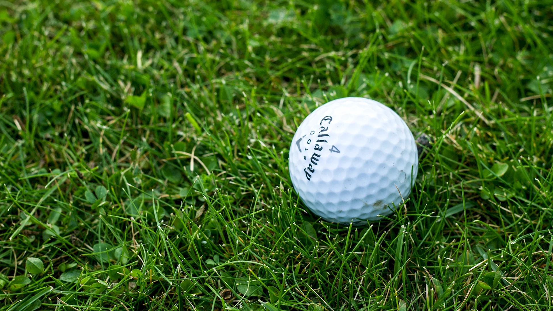 Golf Ball Wallpaper