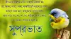 Good Morning Bengali Quotes Wallpaper