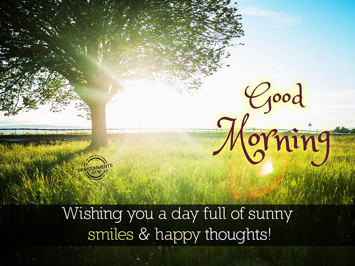 Good Morning Best Wishes Wallpaper