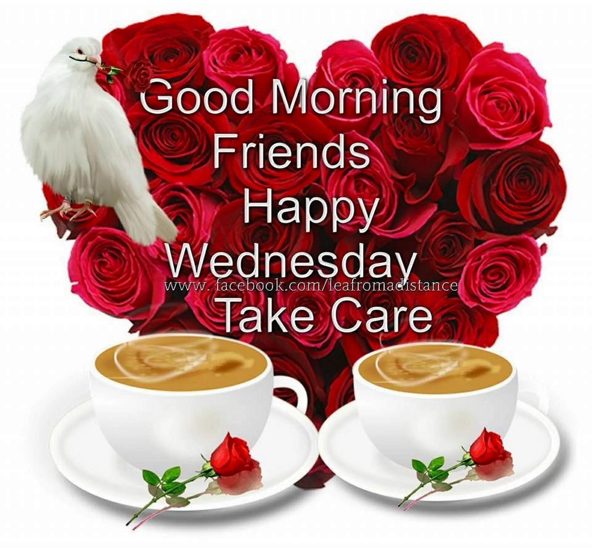 Good Morning Happy Wednesday Wallpaper