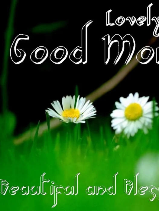 Good Morning Have A Lovely Day Wallpaper