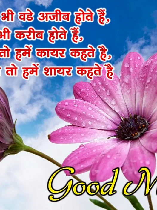 Good Morning Hindi Quotes Wallpaper