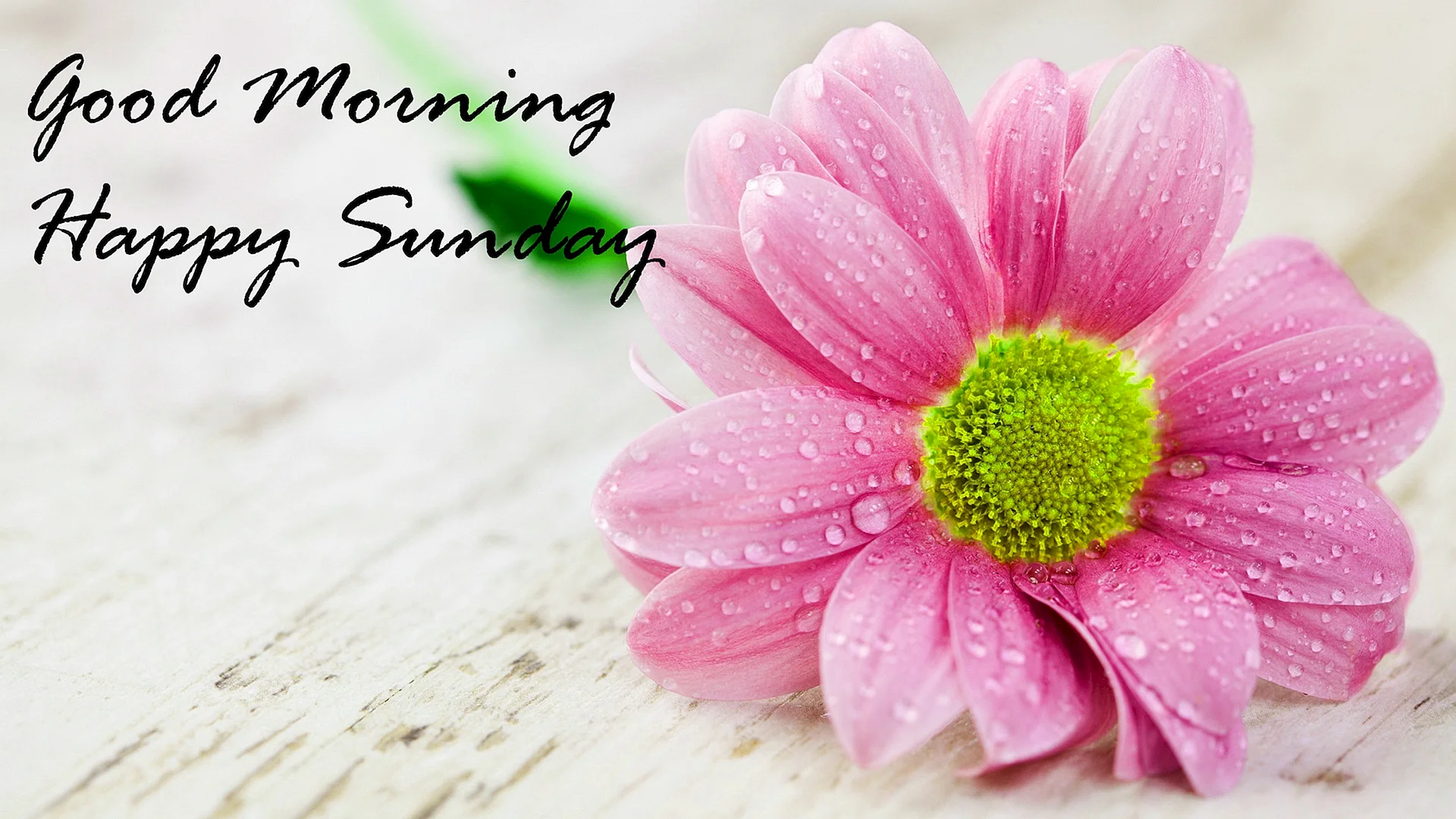 Good Morning Images HD Wallpaper