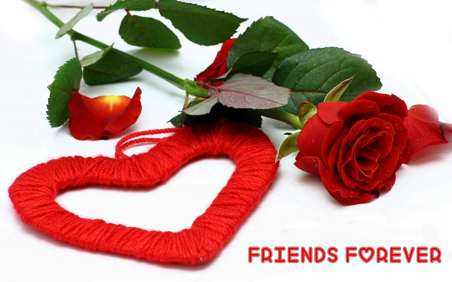 Good Morning Love Flower Wallpaper