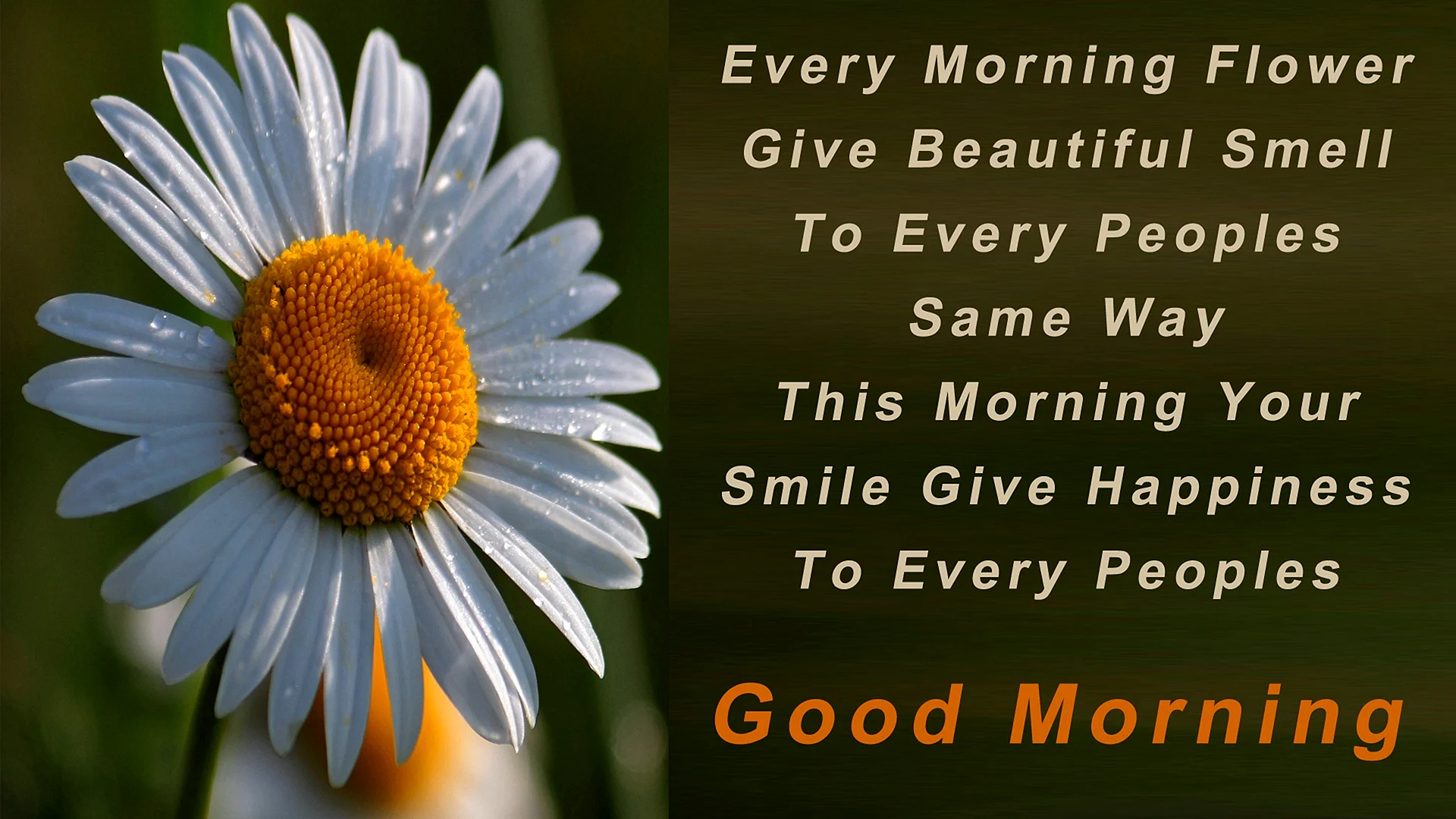 Good Morning Message For A Friend Wallpaper