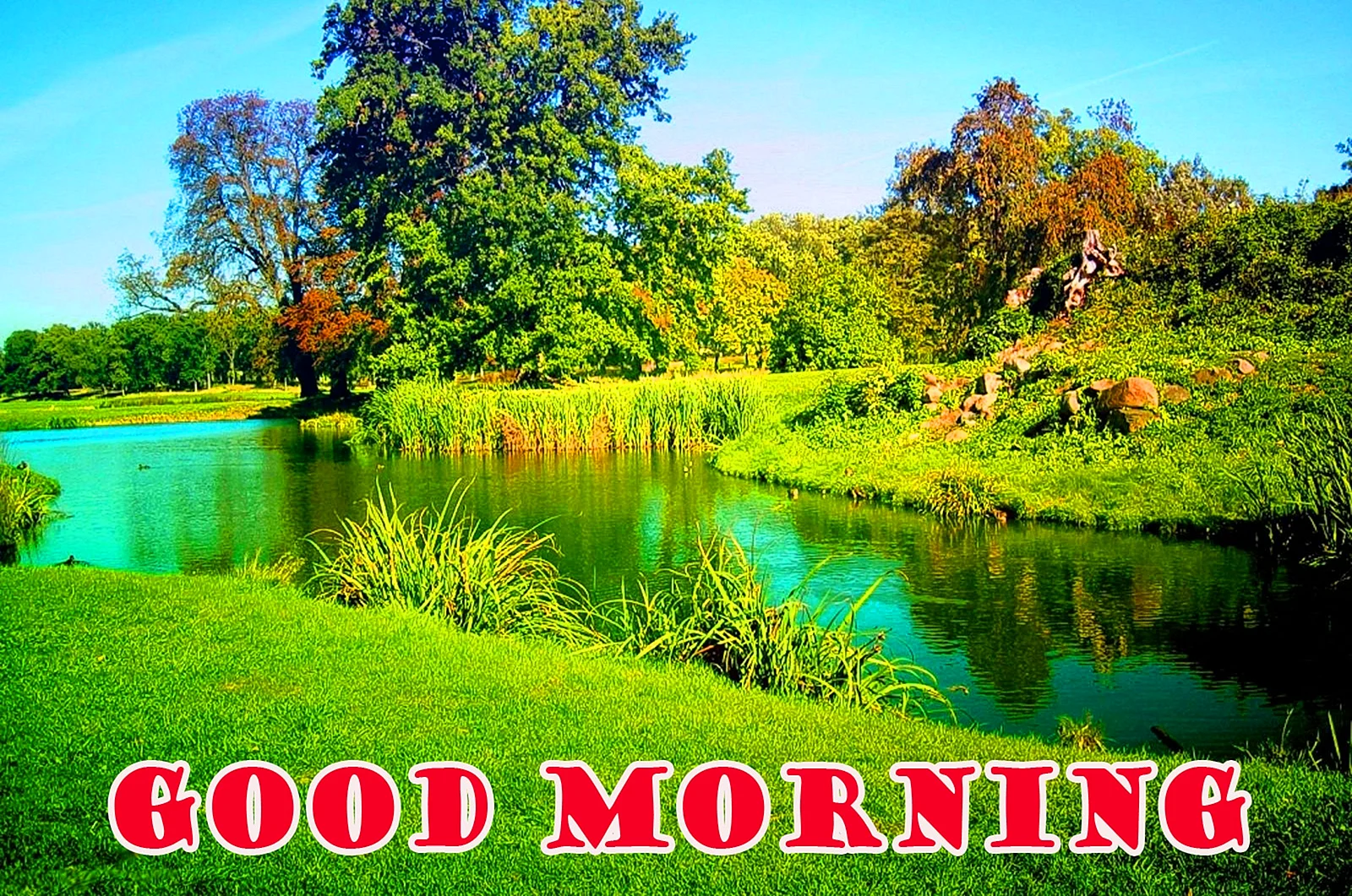 Good Morning Nature Wallpaper