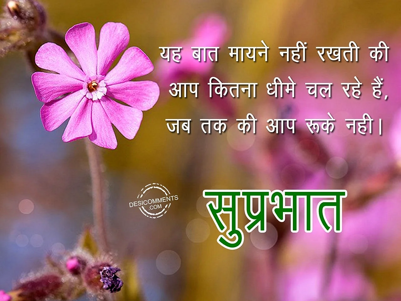 Good Morning Quotes In Hindi Wallpaper