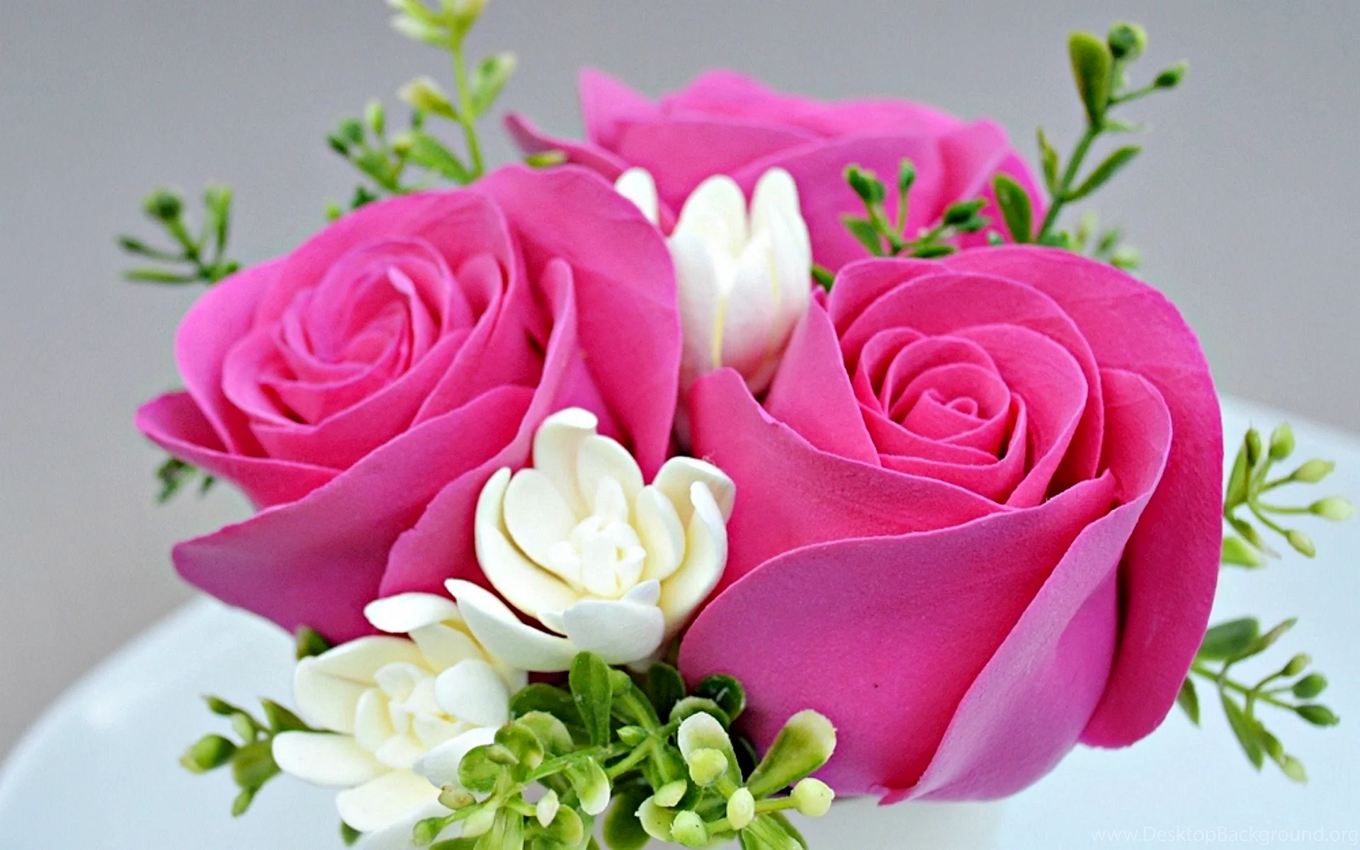 Good Morning Rose Flowers Wallpaper