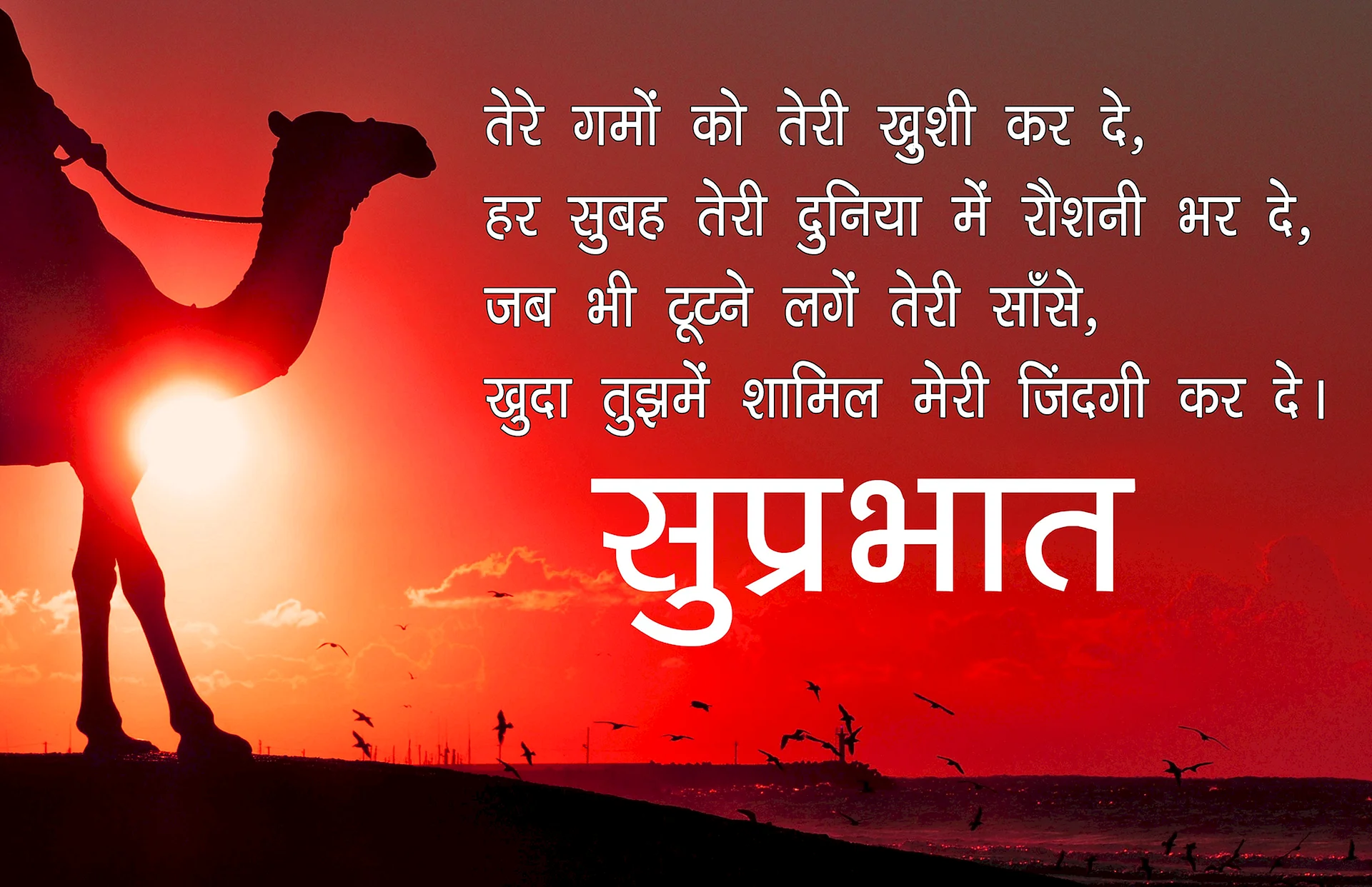 Good Morning Shayari Wallpaper