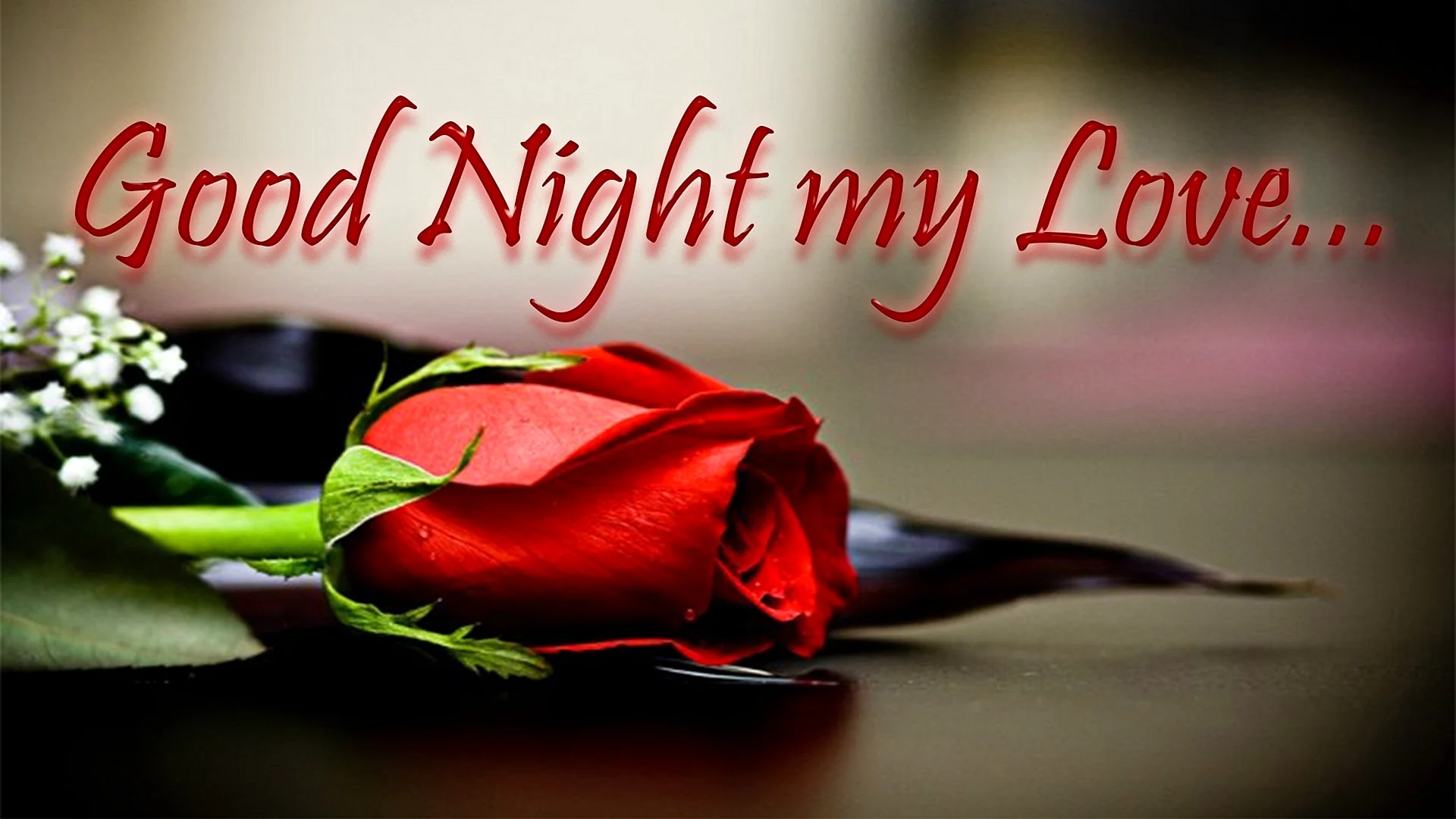 Good Night Love Wallpaper