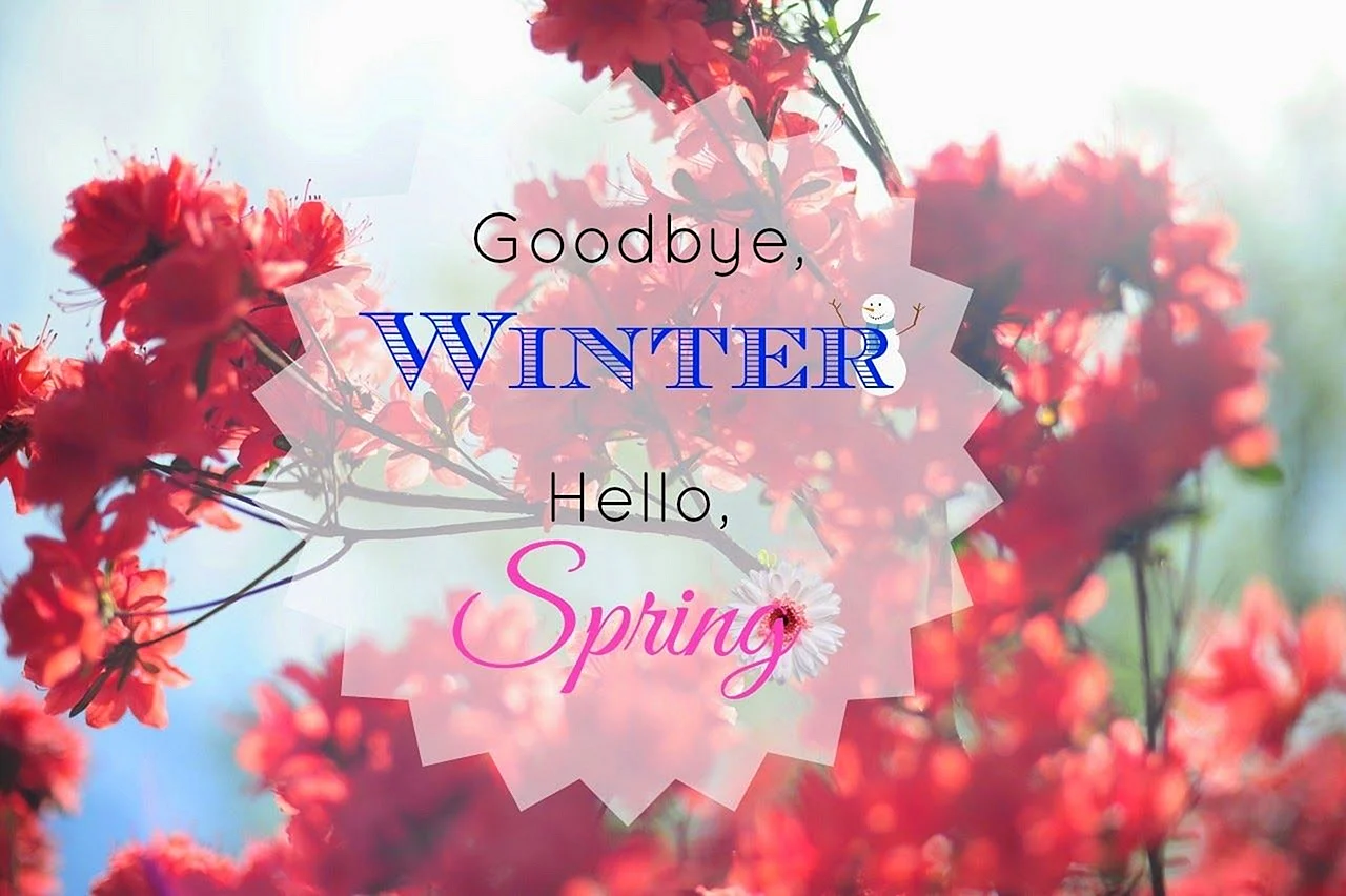 Goodbye Winter Hello Spring Wallpaper