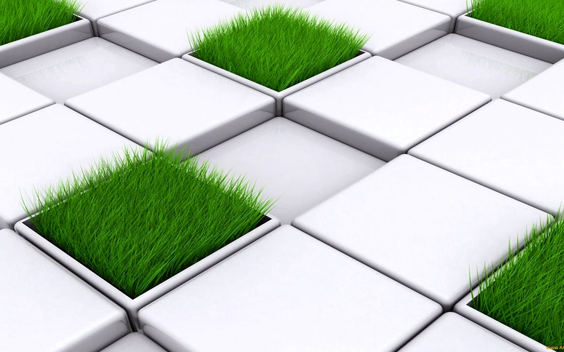 Grass Cube Wallpaper