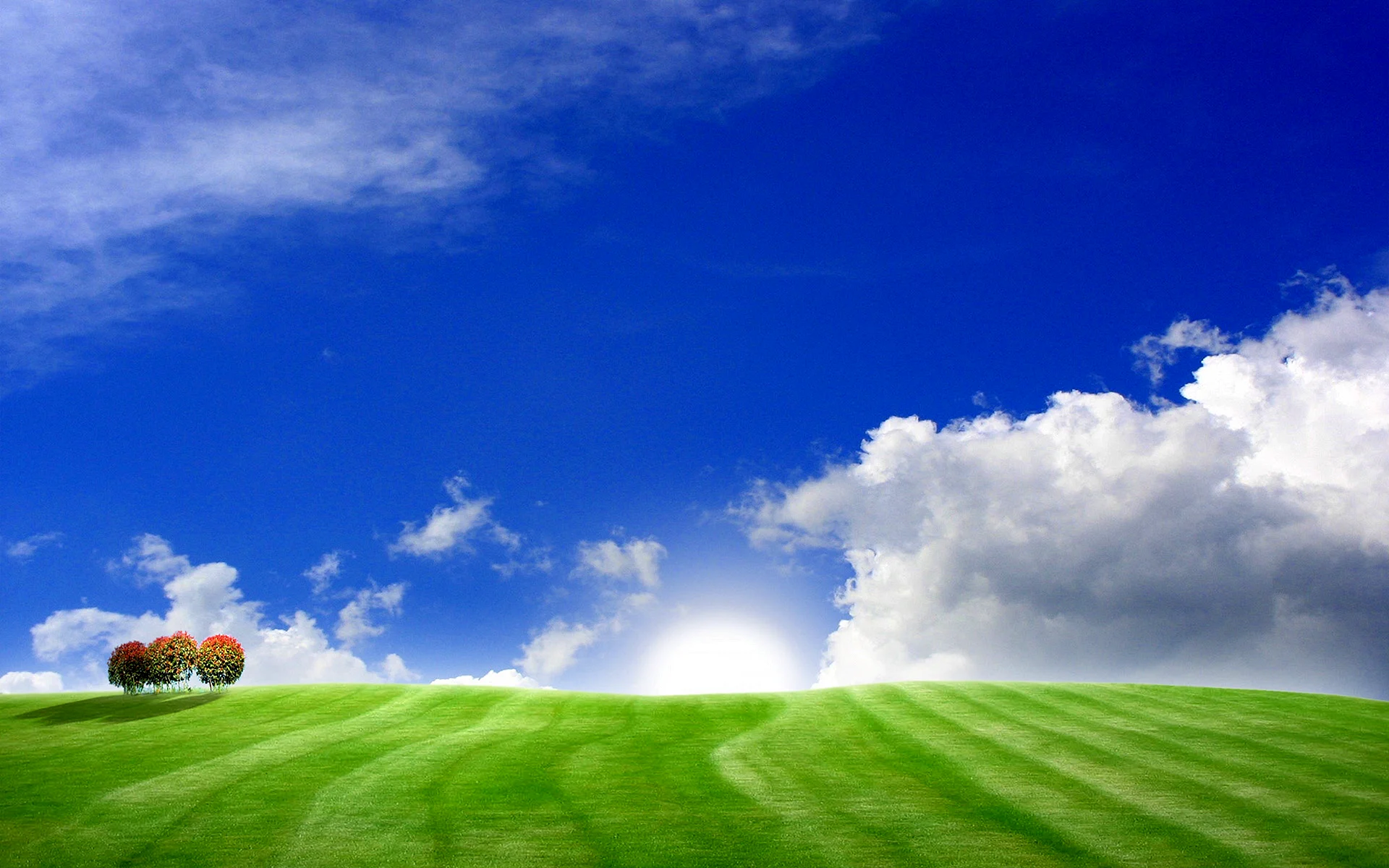 Grass Sky Wallpaper