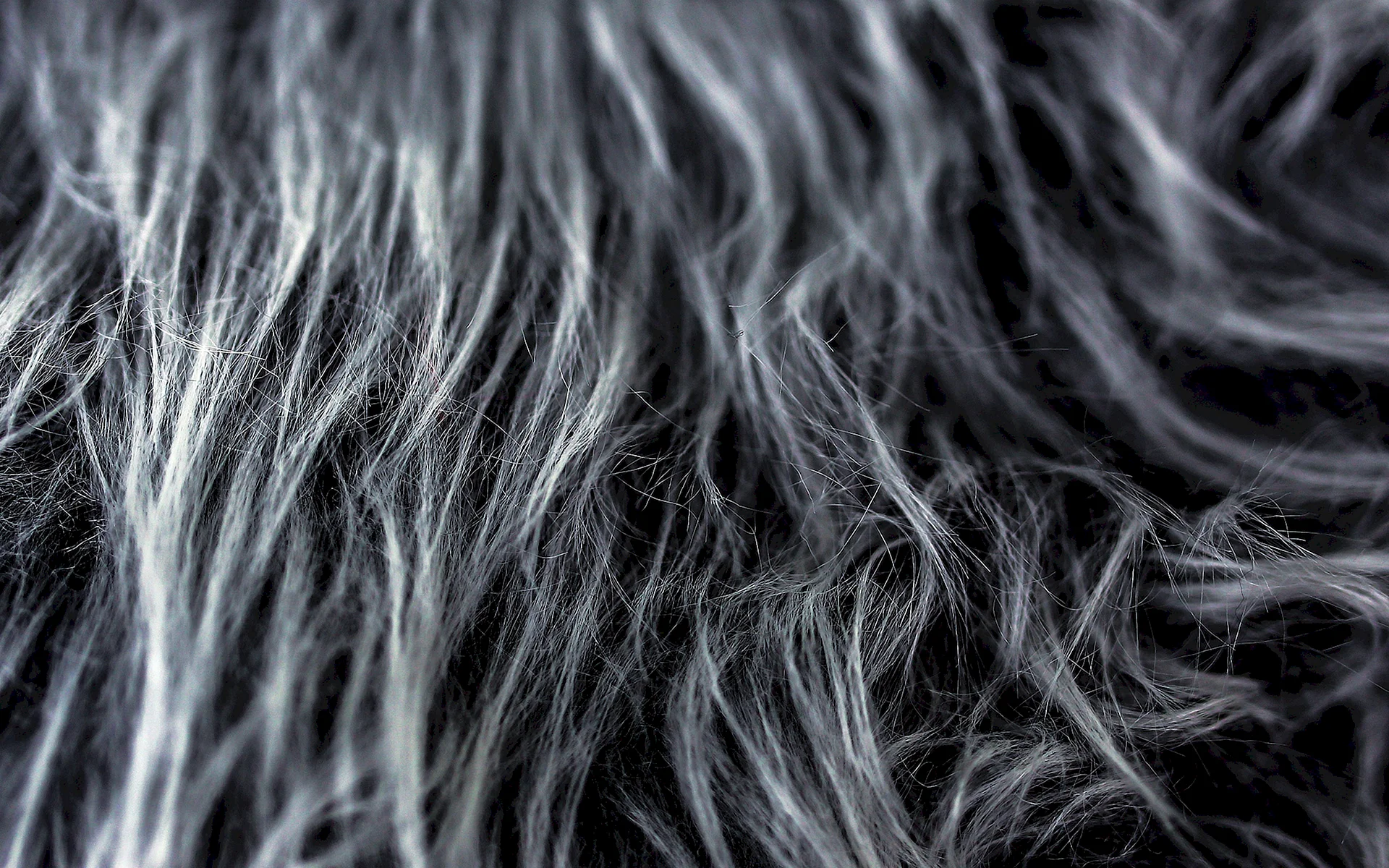 Gray Hair Texture Wallpaper