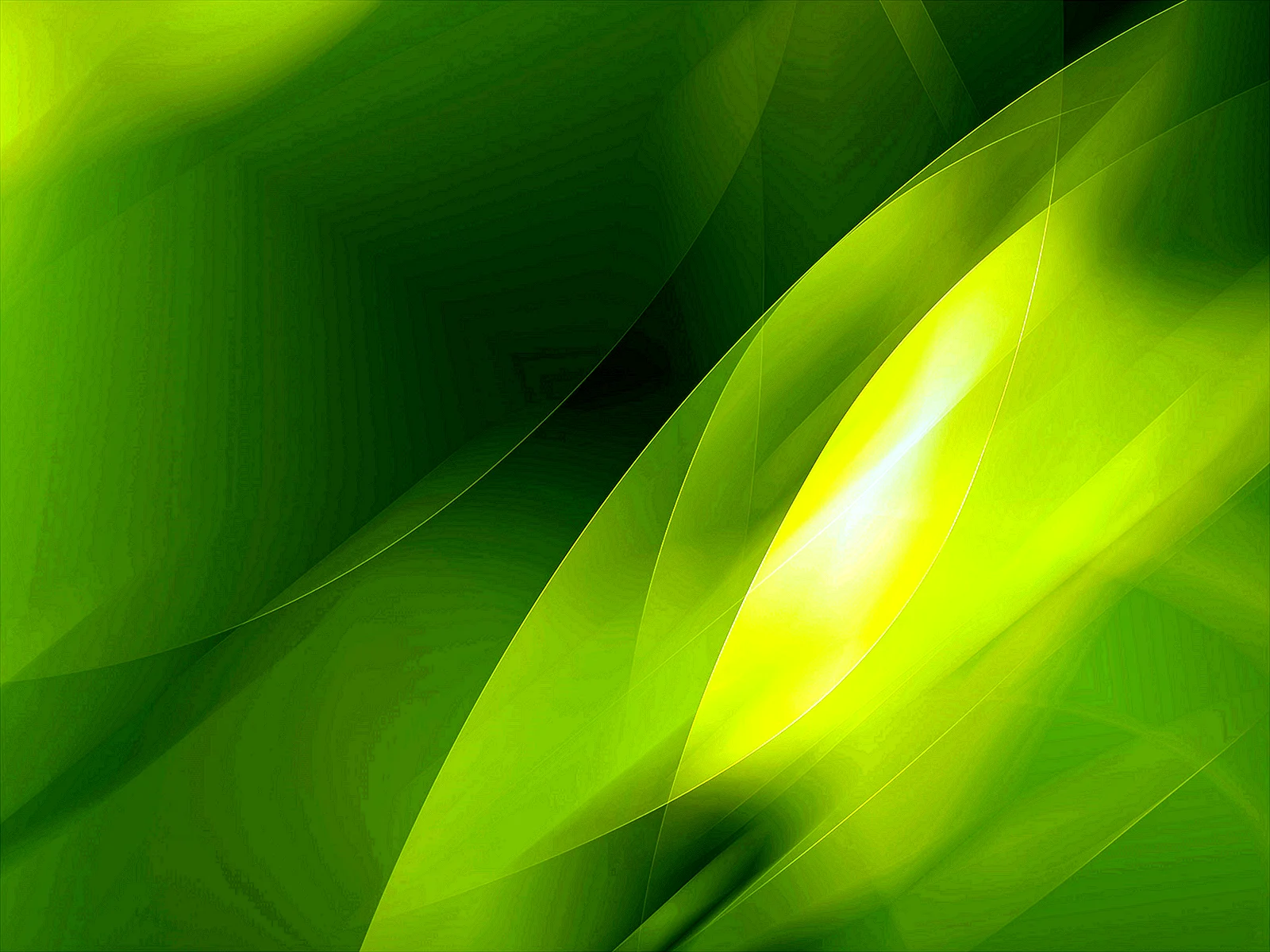 Green Background Wallpaper