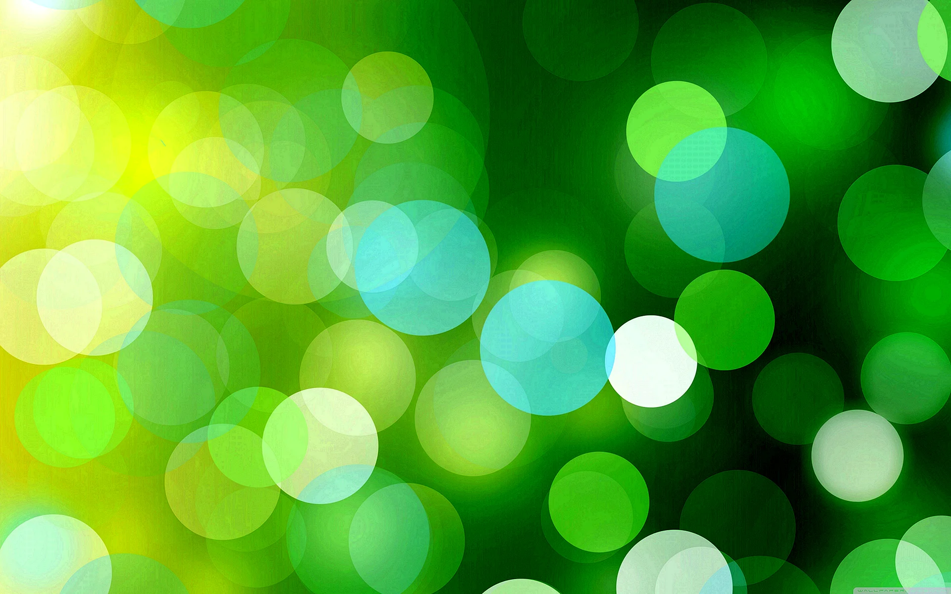 Green Background Wallpaper