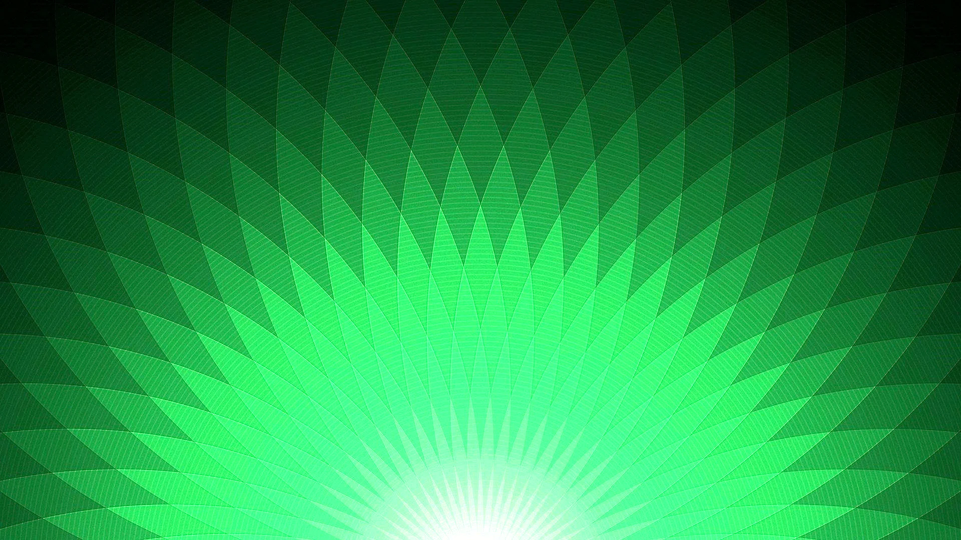 Green Background HD Wallpaper