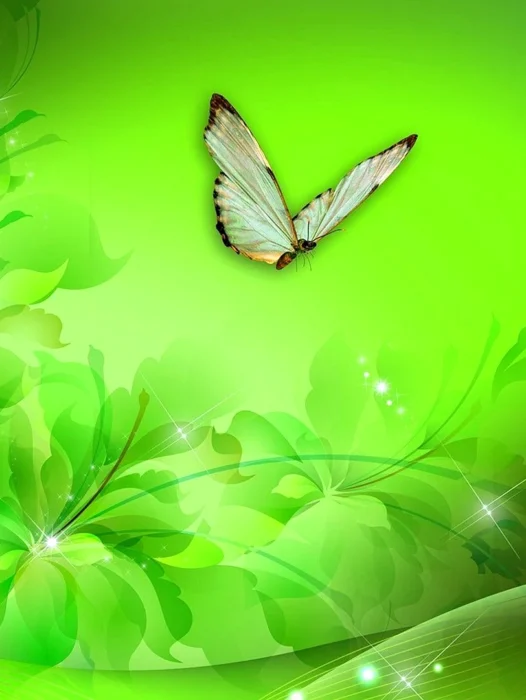 Green Background Vector Wallpaper