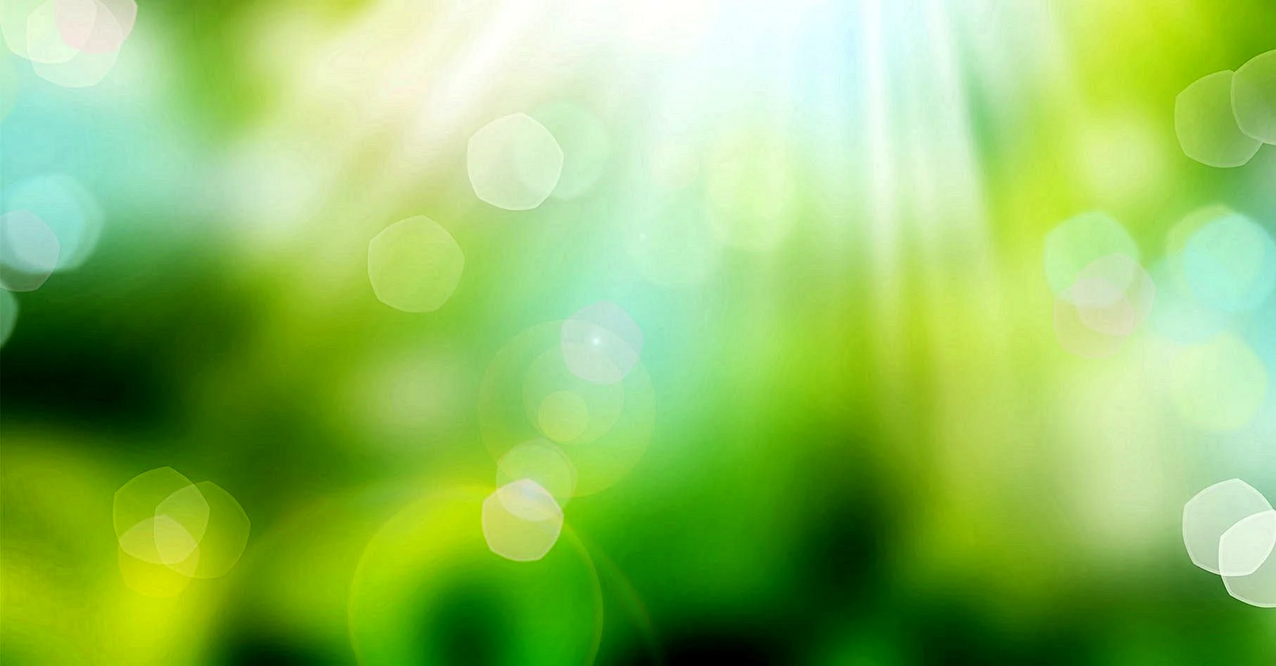 Green Blurred Background Wallpaper