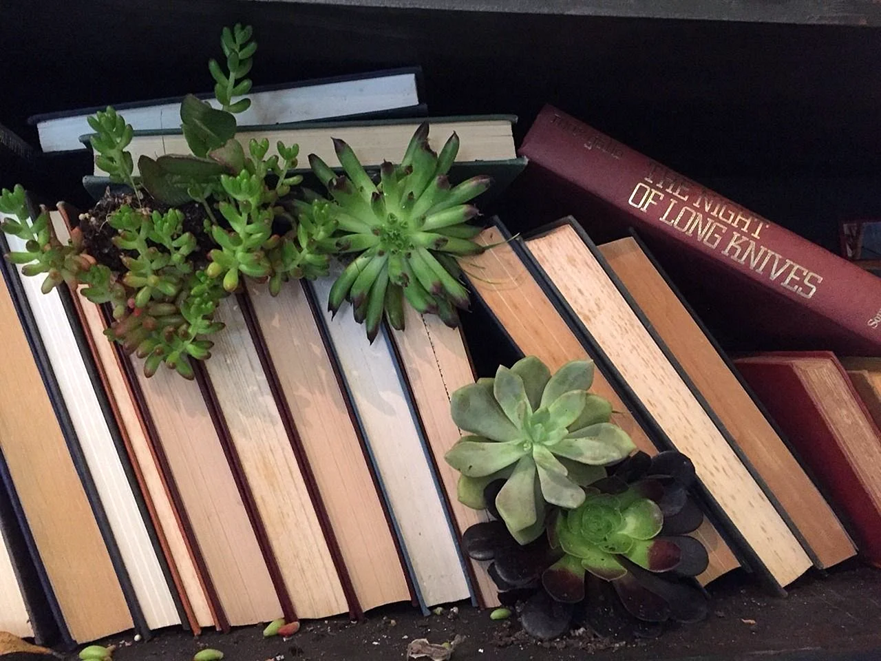 Green Books Aesthetic Wallpaper