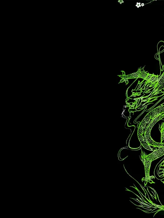 Green Chinese Dragon Wallpaper