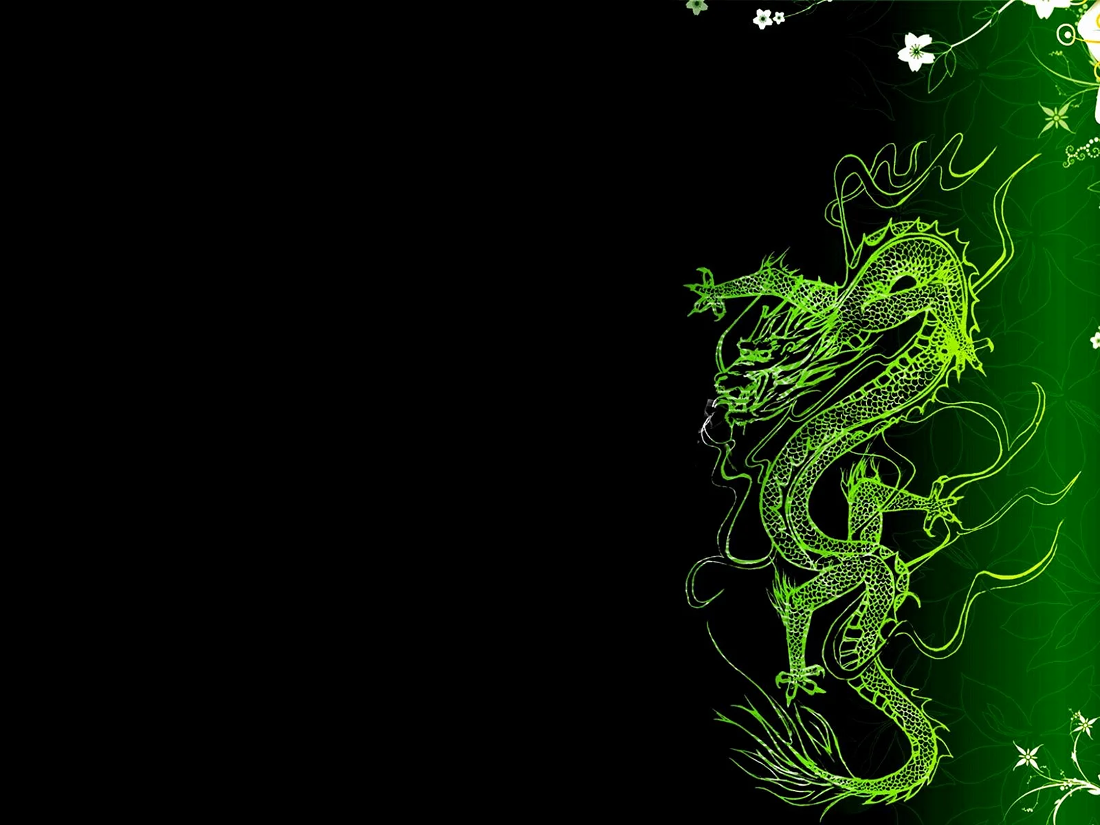 Green Chinese Dragon Wallpaper